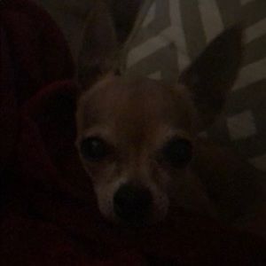 Meet your Posher, Nancy